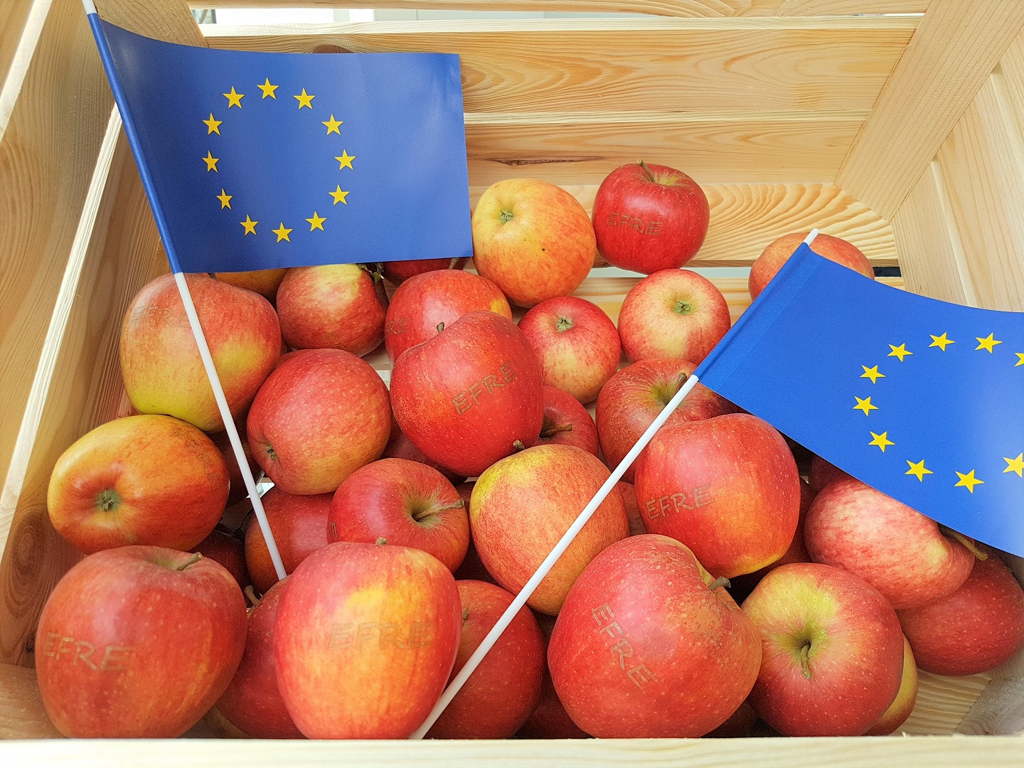 Bild: Äpfel mit dem eingelaserten Schriftzug EFRE und Europaflaggen in einer Holzkiste 
