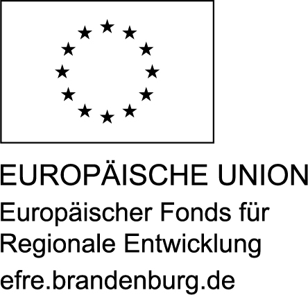 EFRE-Logo mit Schriftzug unten mit Webadresse schwarz/weiß (jpg)