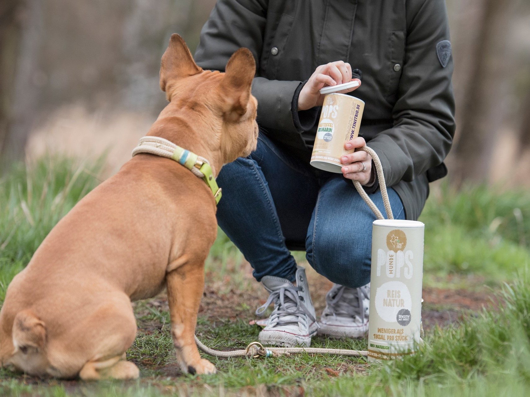 Französische Bulldogge erhält Hundesnack 