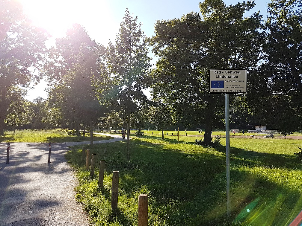 Begrünter Rad- und Gehweg an der Lindenallee in Potsdam mit EFRE-Hinweisschild
